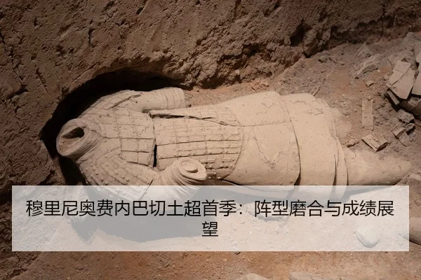 mu-li-ni-ao-fei-nei-ba-qie-tu-chao-shou-ji-zhen-xing-mo-he-yu-cheng-ji-zhan-wang-2-829.jpg