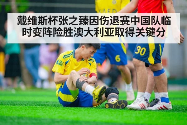 戴维斯杯张之臻因伤退赛中国队临时变阵险胜澳大利亚取得关键分